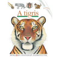 A tigris - Kis felfedező zsebkönyvek