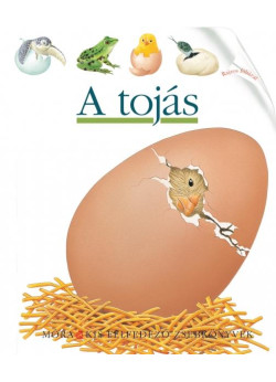 A tojás - Kis felfedező zsebkönyvek