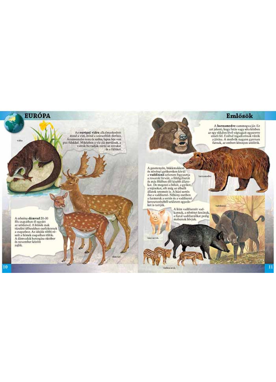 Állatok enciklopédiája