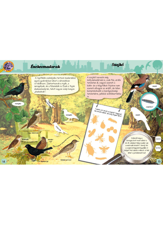 A természet nyomozója - városok, parkok, állatkertek A természet nyomozója - városok, parkok, állatkertek