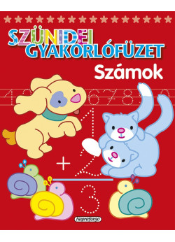 Szünidei gyakorlófüzet - Számok