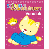 Szünidei gyakorlófüzet - Vonalak