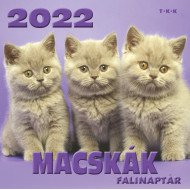 Falinaptár Macskák 2022