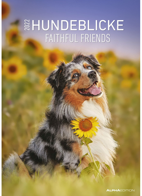 Falinaptár Hundeblicke 2022