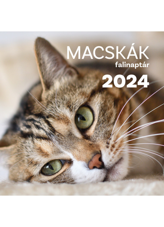 Falinaptár 2024 Macskák
