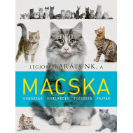 Legjobb barátunk, a macska 
