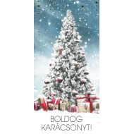 Képeslap-KF379 Boldog karácsonyt! borítékkal