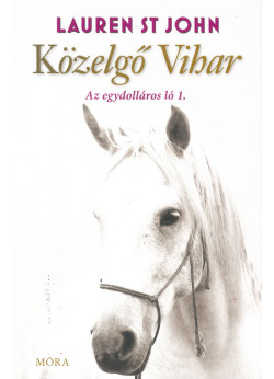 Közelgő vihar - Az egydollásros ló1.