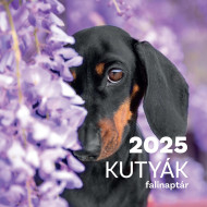 Falinaptár 2025 kutyák