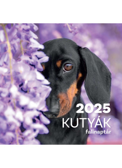 Falinaptár 2025 kutyák