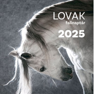 Falinaptár 2025 lovak