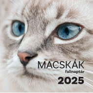 Falinaptár 2025 macskák