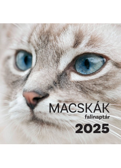 Falinaptár 2025 macskák