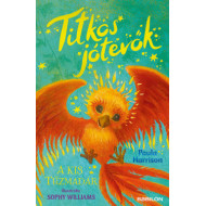 Titkos jótevők - A kis tűzmadár