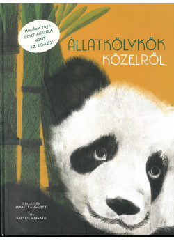 Állatkölykök közelről