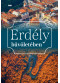 Erdély bűvöletében