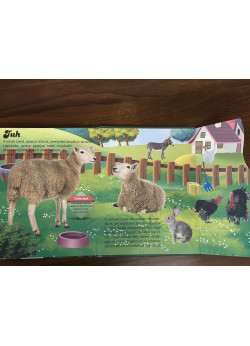 Tudj meg többet a világ állatairól!