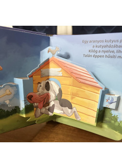 Csodás háziállatok