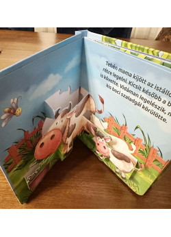 Gyönyörű nap a zajos tanyán