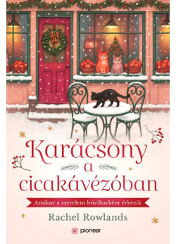 Karácsony a cicakávézóban