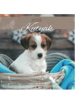2026 falinaptár KUTYÁK