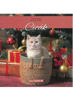 2026 falinaptár Cicák