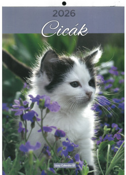 2026 falinaptár CICÁK (keskeny)