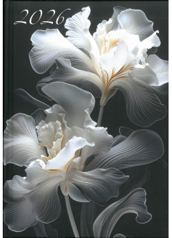 2026 Határidőnapló A5 irisz