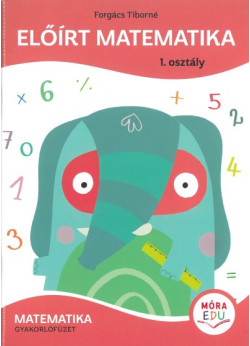 Előírt matematika 1. osztály - Matematika gyakorlófüzet
