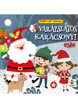 Varázslatos karácsonyi este       