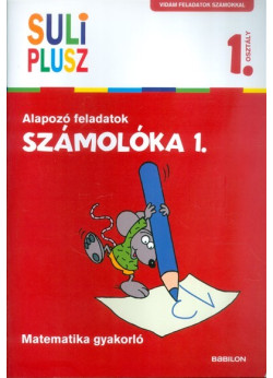 Számolóka 1. /Alapozó feladatok - matematika gyakorló 1. osztály