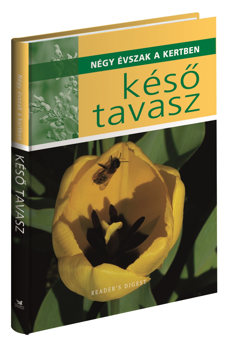 Négy évszak a kertben - Késő tavasz Négy évszak a kertben - Késő tavasz