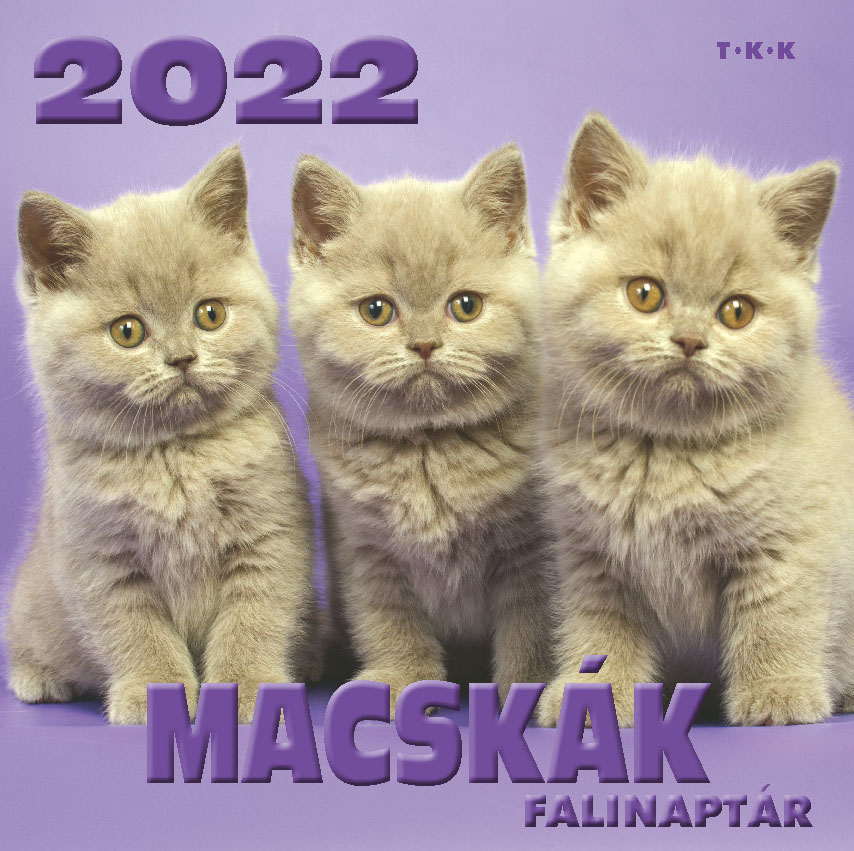 Falinaptár Macskák 2022