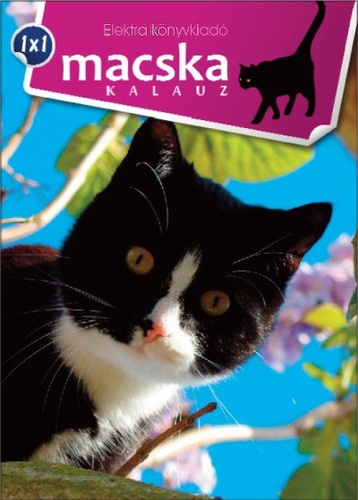 Macska kalauz - 1*1 kalauz