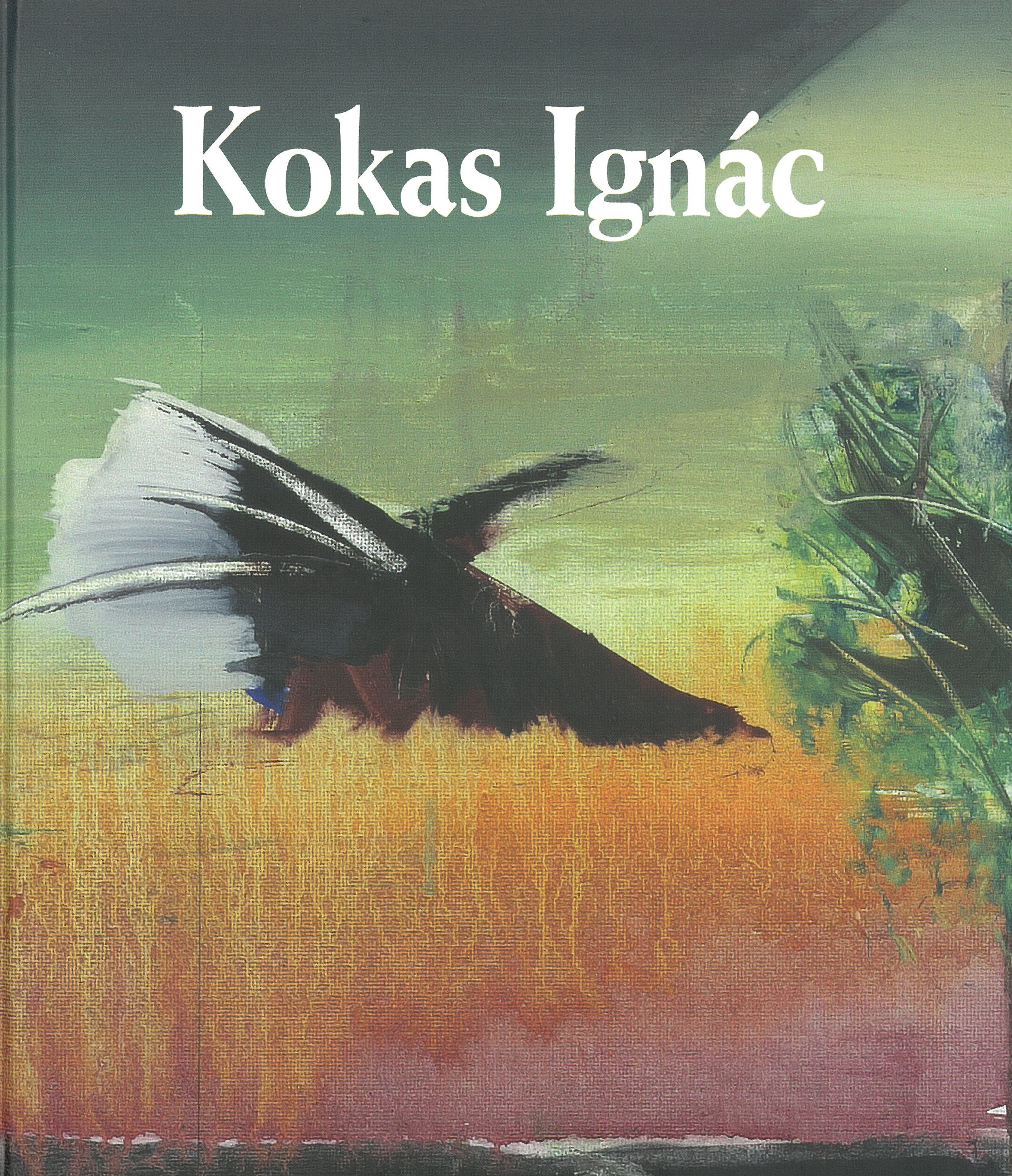 Kokas Ignác 