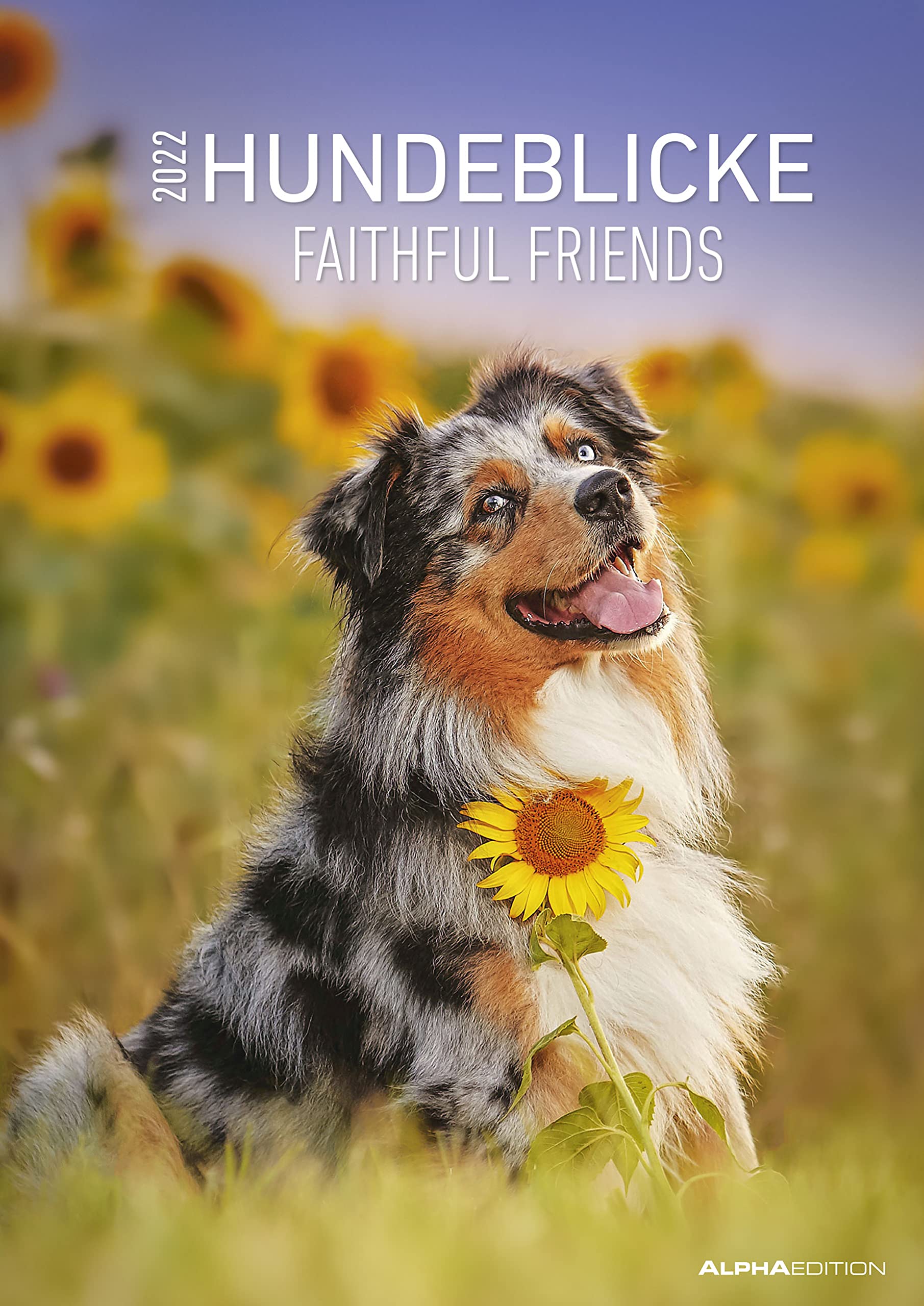 Falinaptár Hundeblicke 2022