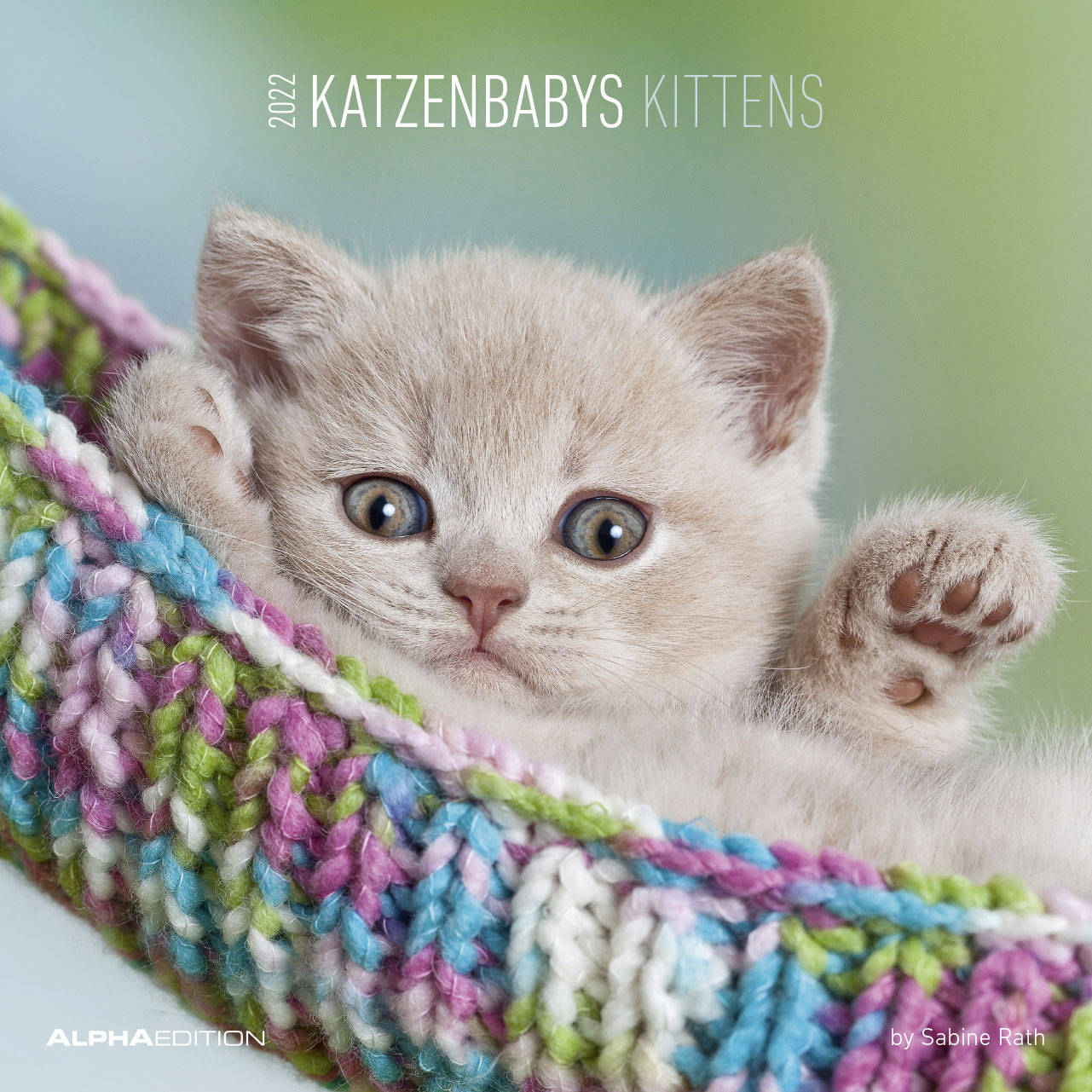 Falinaptár Katzenbabys 2022