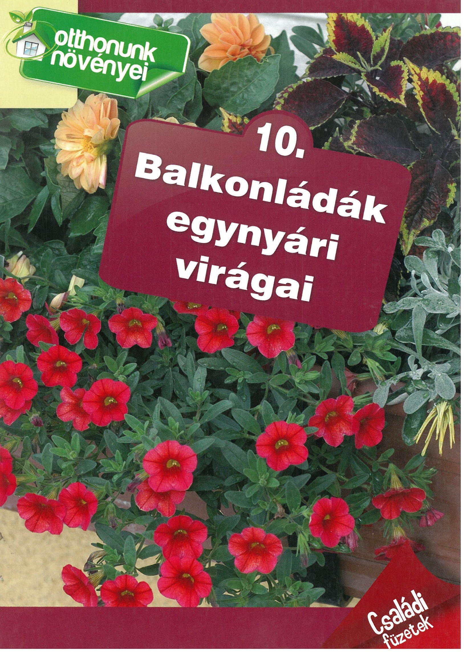 Balkonládák egynyári virágai - Otthonunk növényei 10.