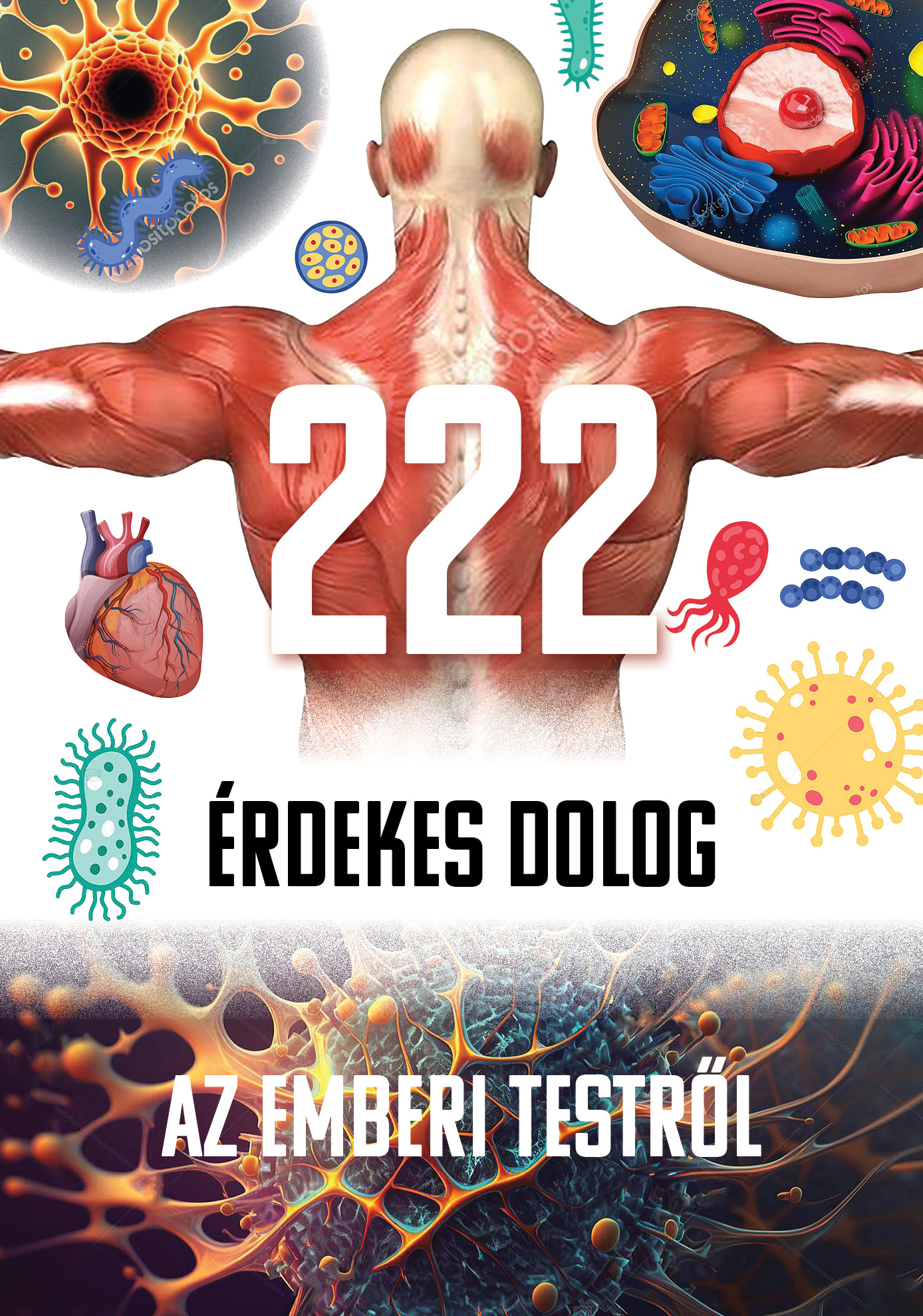 222 érdekes dolog az emberi testről