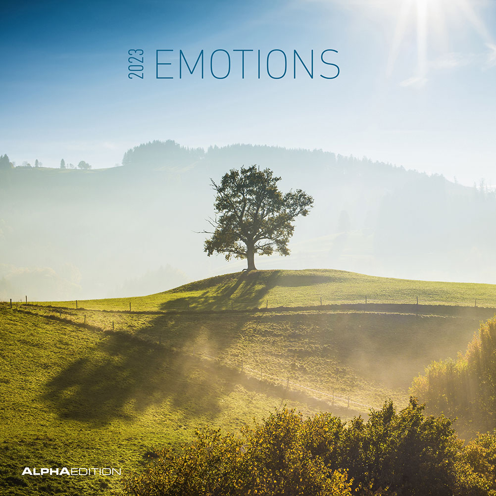 Falinaptár 2023- Emotions  30x30.