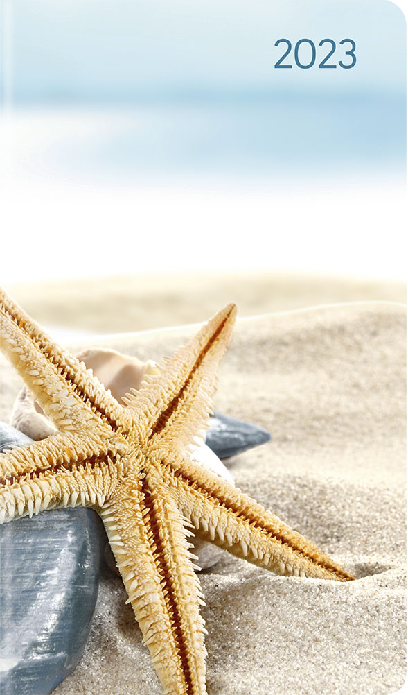 Határidőnapló  2023 -  Ladytimer Slim Sea Star  9x15,6.