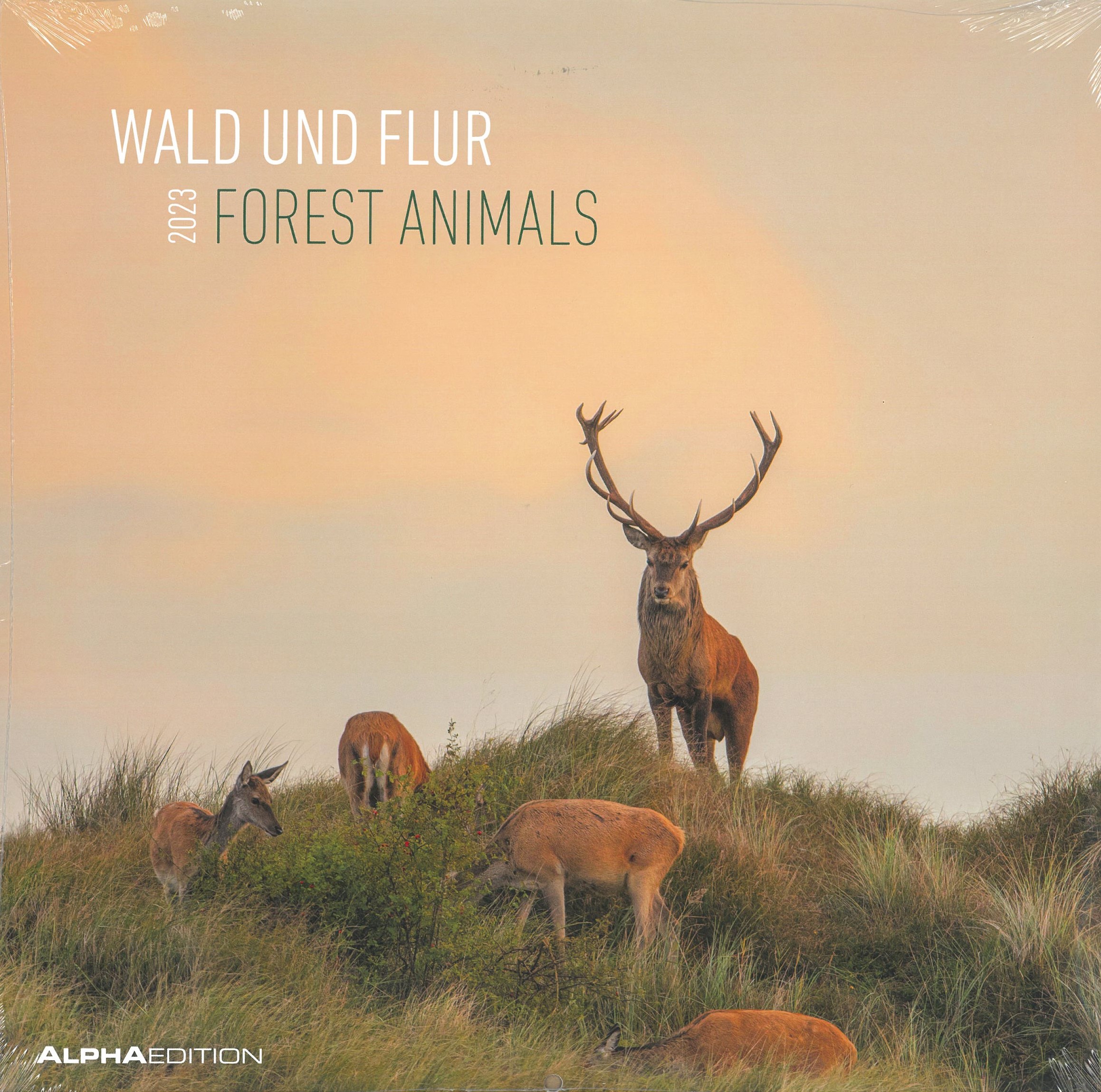 Falinaptár 2023  - Wald & Flur 30x30.