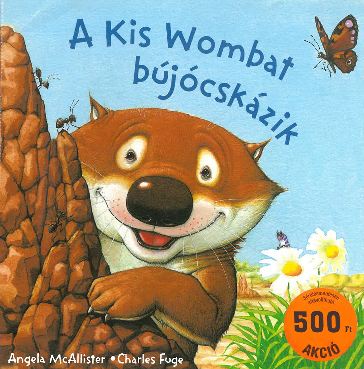 A kis wombat bújócskázik