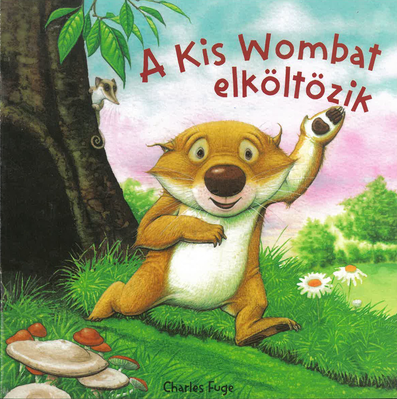 A kis wombat elköltözik