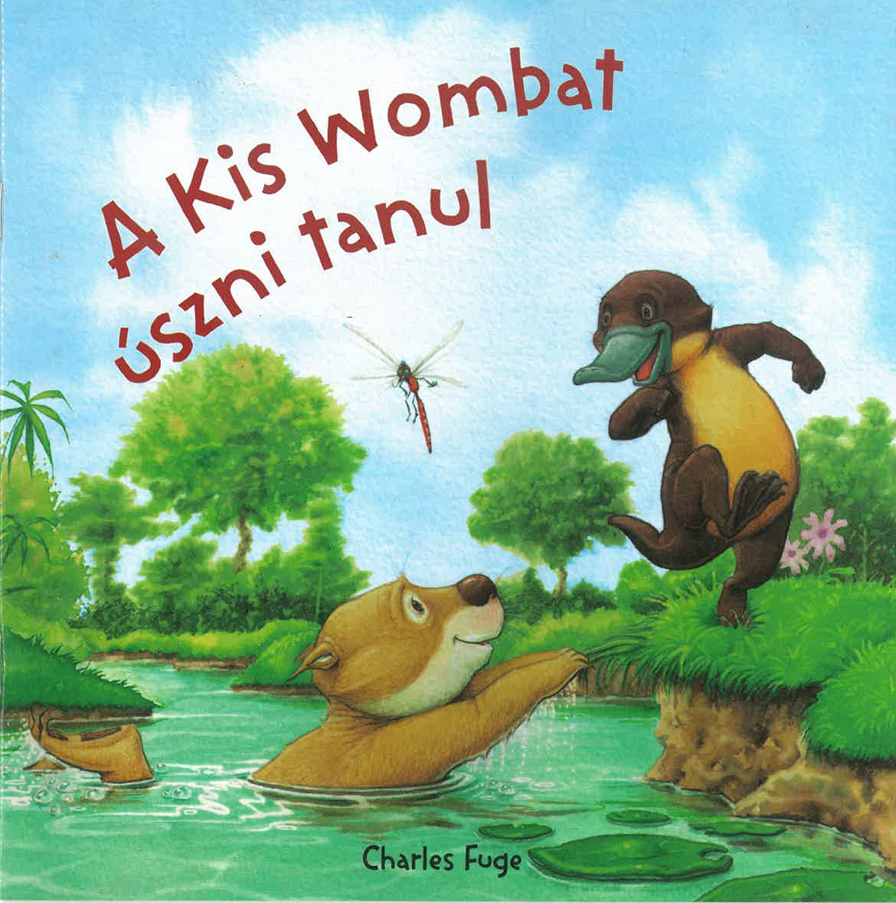 A kis wombat úszni tanul