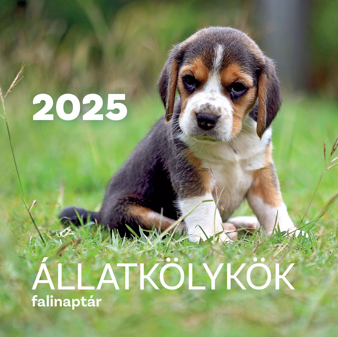 Falinaptár 2025 Állatkölykök