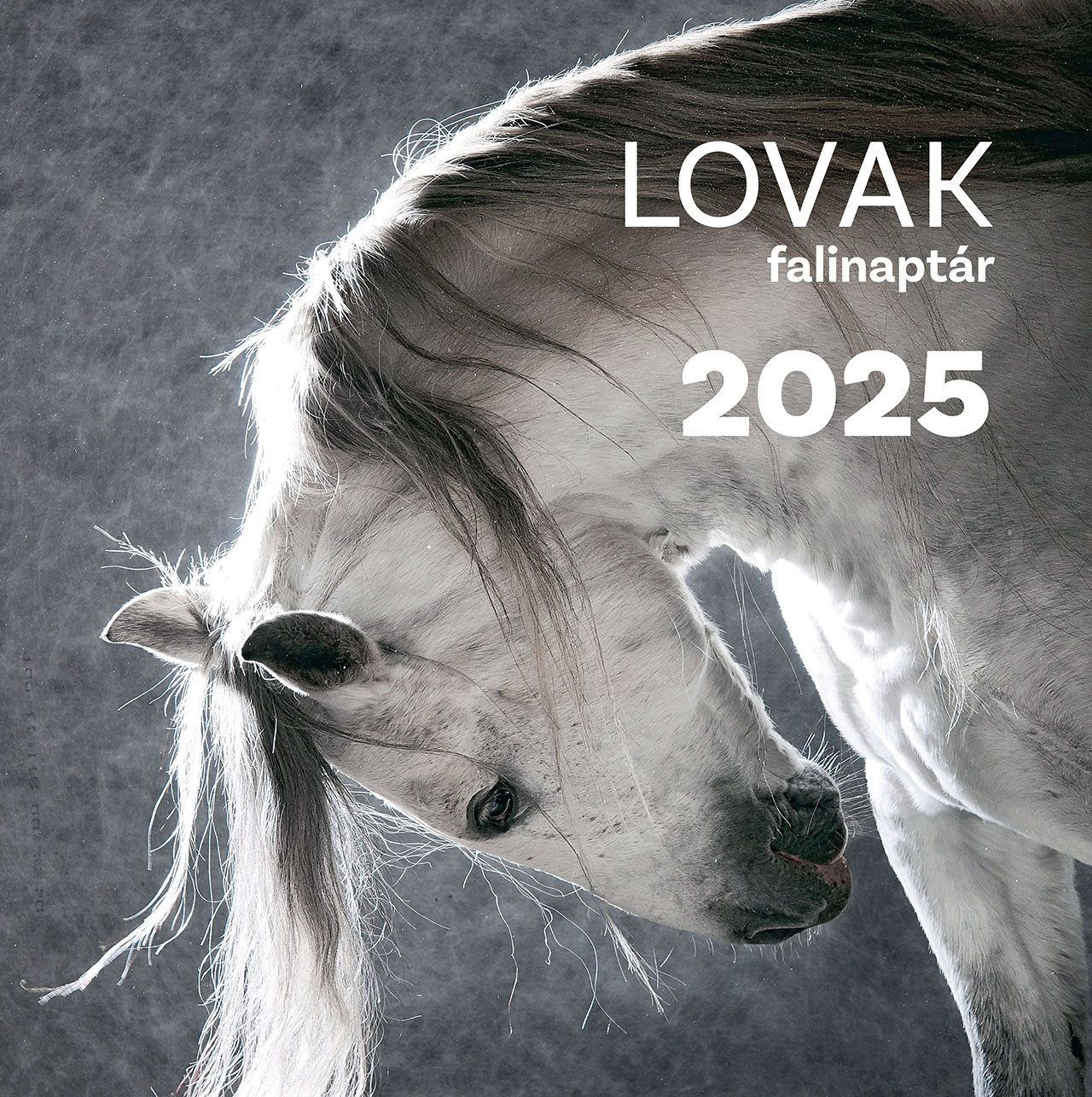 Falinaptár 2025 lovak