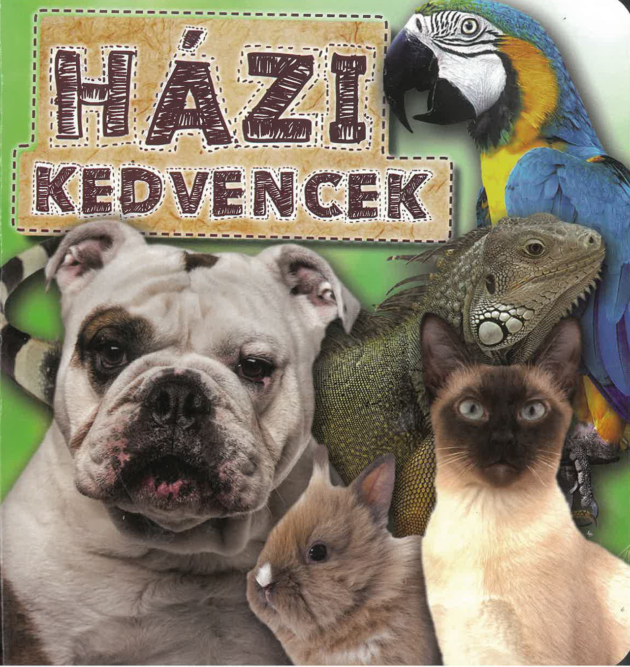 Házi kedvencek