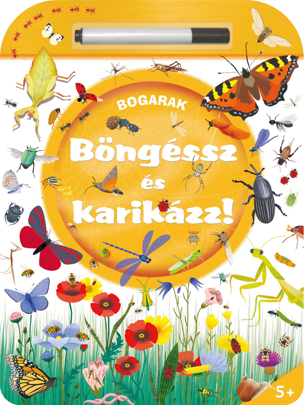 Böngéssz és karikázz! - Bogarak Böngéssz és karikázz! - Bogarak