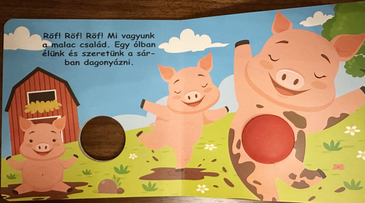 Háziállatok a tanyán Háziállatok a tanyán